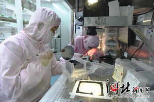 鹿泉经济开发区 以精准服务为引擎，大力扶持高新技术企业腾飞