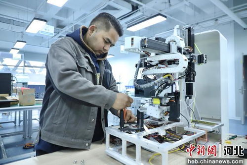 优化科技创新生态 彰显廊坊“智造”实力——河北廊坊软件开发展新局